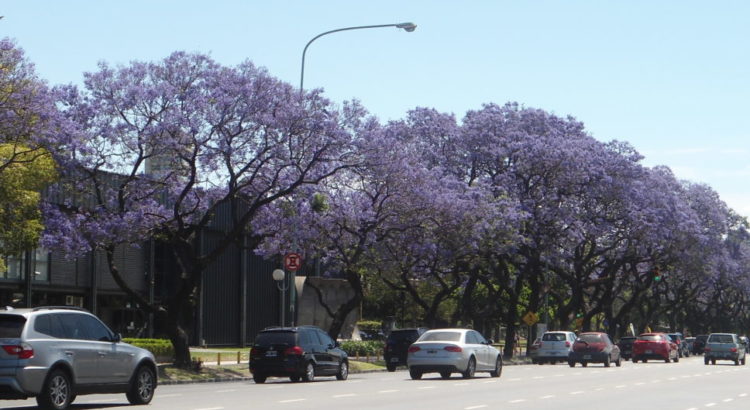 Palermo Buenos Aires