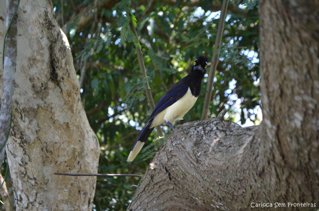 Parque Nacional Iguazú