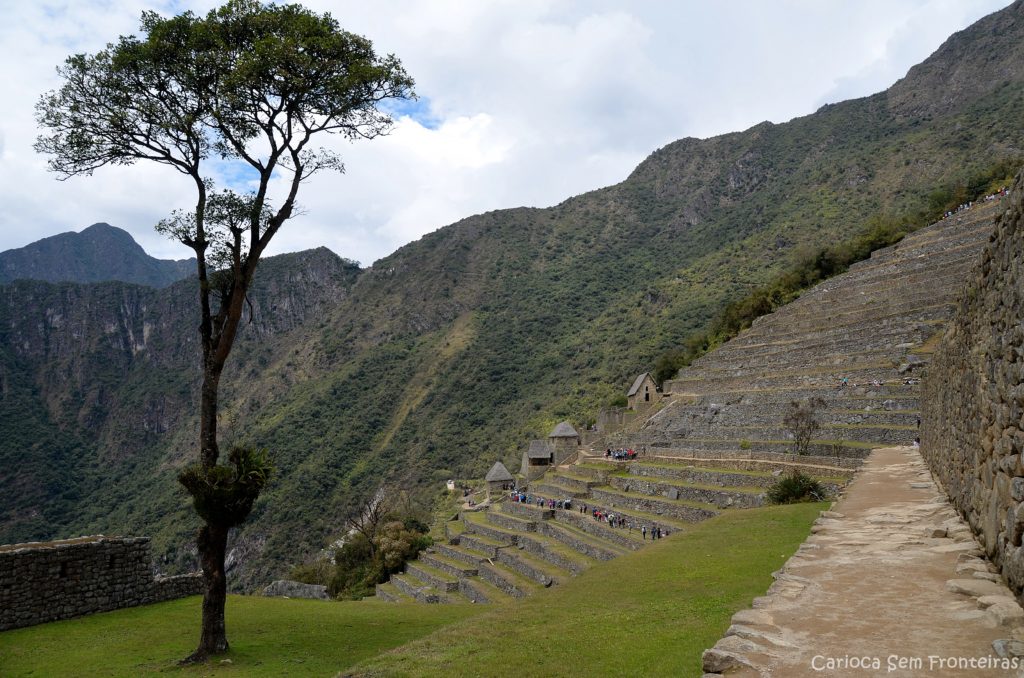Terraço agrícola Machu Picchu