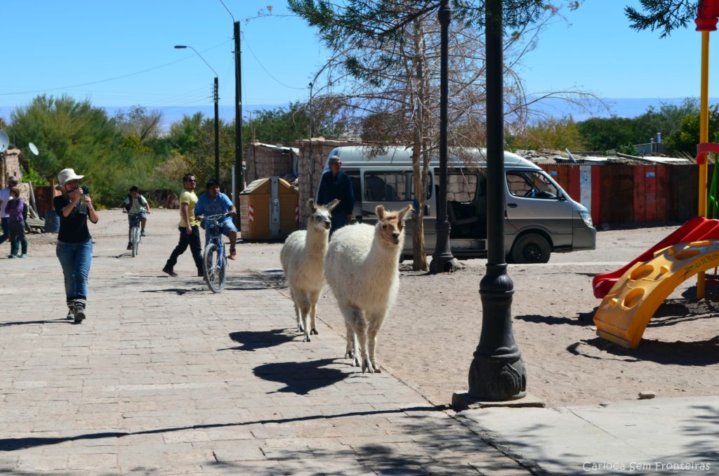 Pueblo Toconao