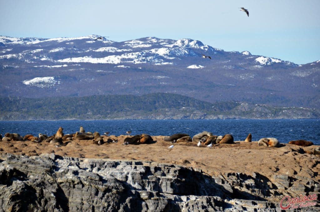 Isla de Los Lobos