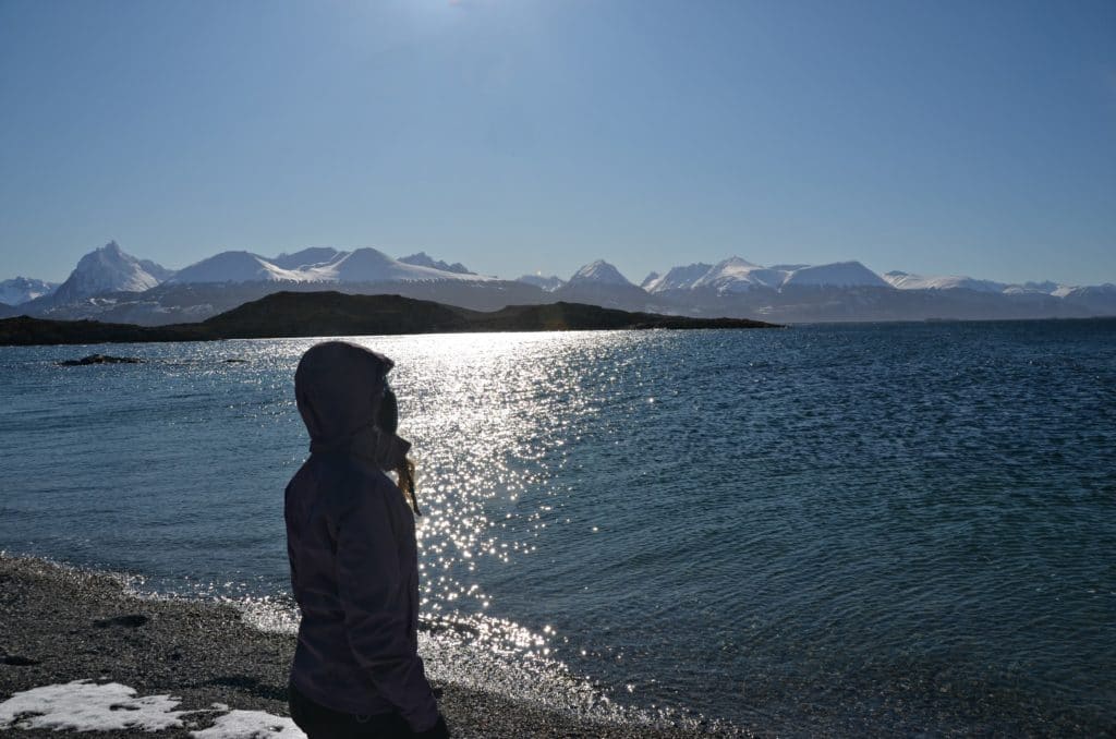 Isla Na beira do Canal de Beagle