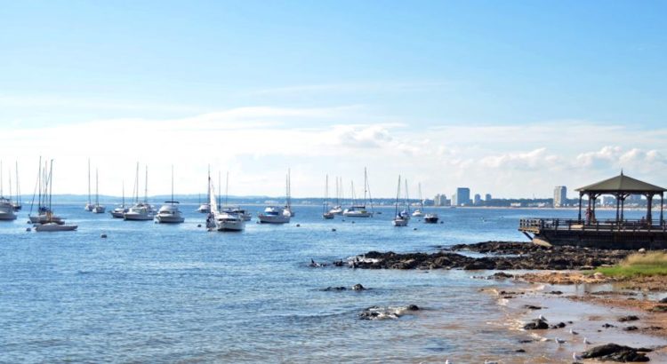 Porto de Punta del Este