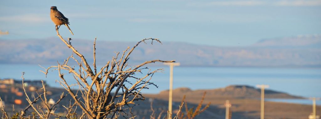 Desafio Wanderlust: Por essa carioca que vos fala