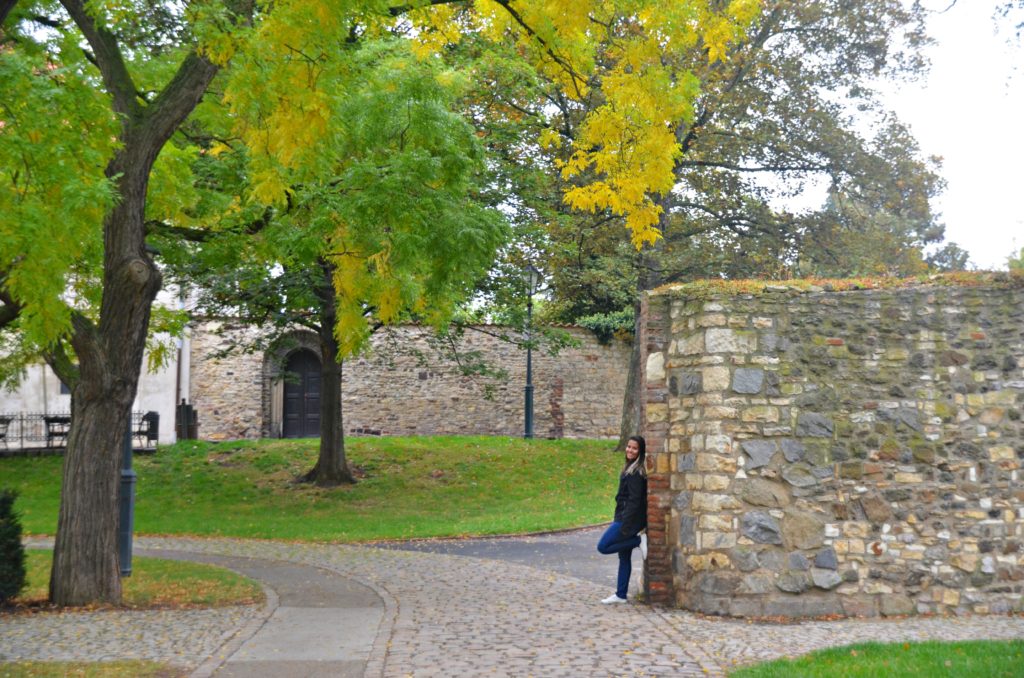 Parque Vyšehrad