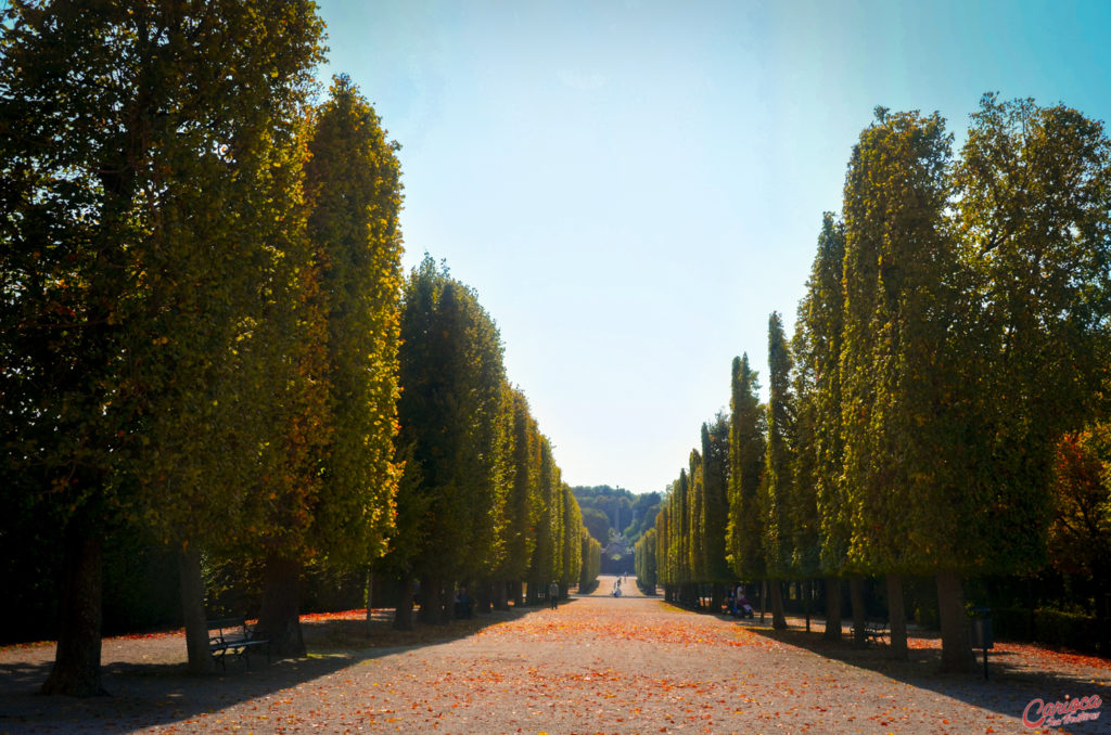 Jardins de Schönbrunn Passeio em Viena ao ar livre