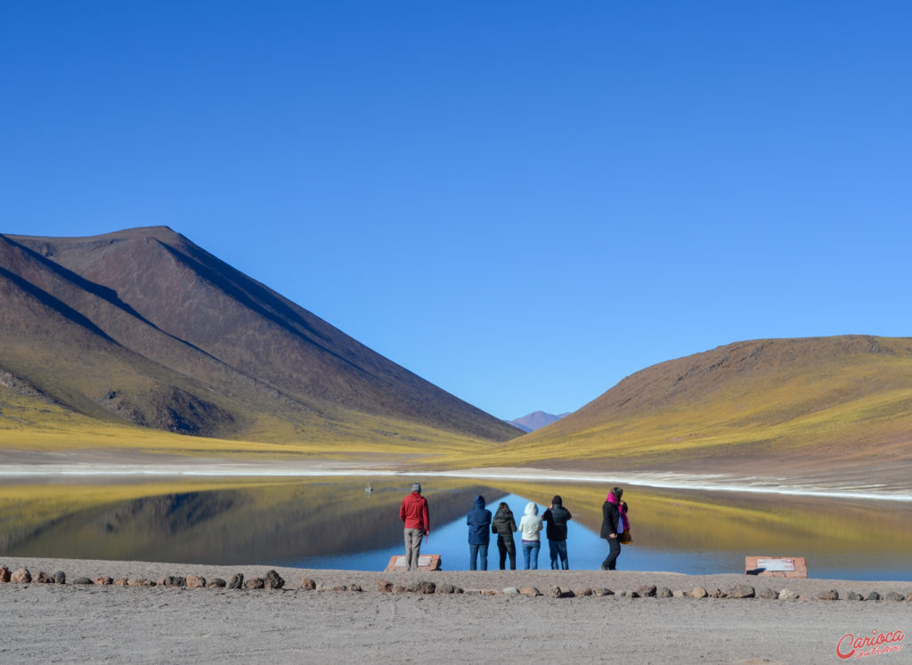 Lagunas Altiplânicas, não pode faltar no seu roteiro no Atacama