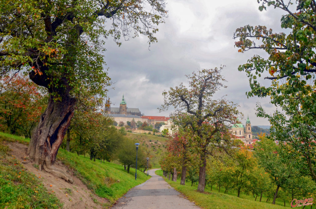 Petřín Hill