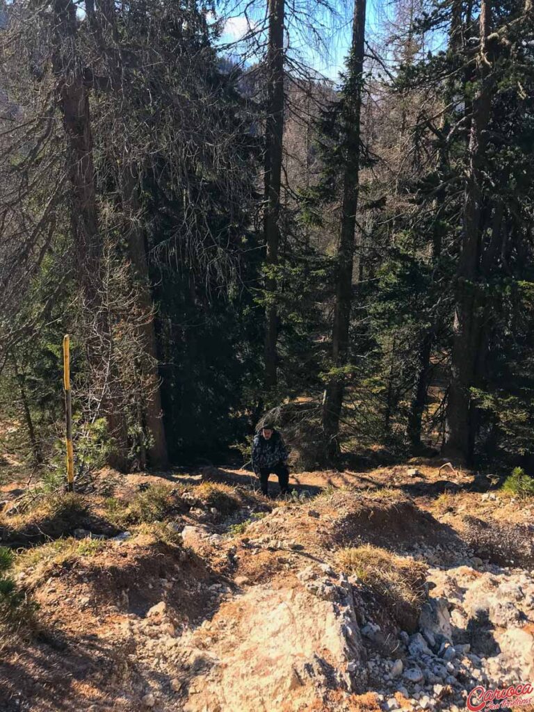 Trekking Tre Cime di Lavareso