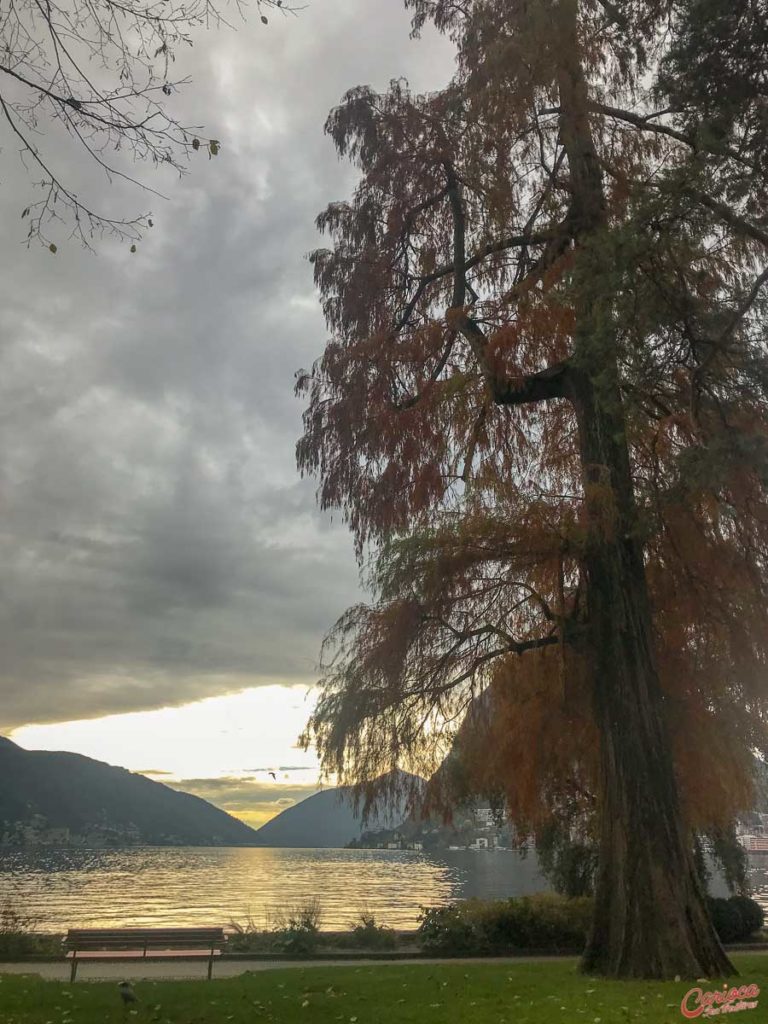 Parco Ciani LUgano