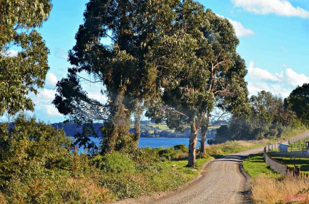 Estrada de terra para Frutillar