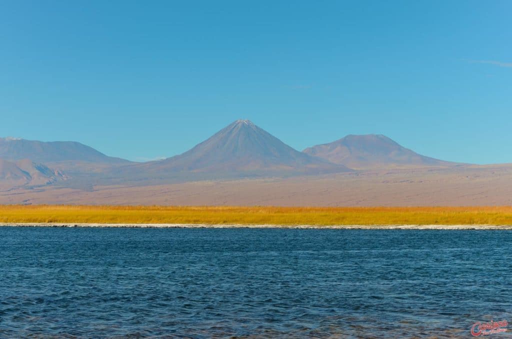 Laguna Cejar e Vulcão Licancabur ao fundo