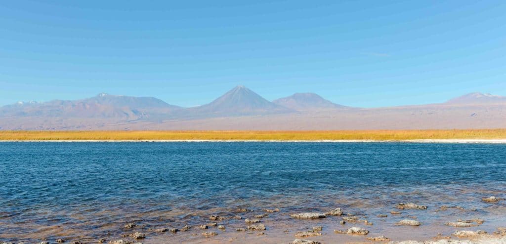 Laguna Cejar Atacama