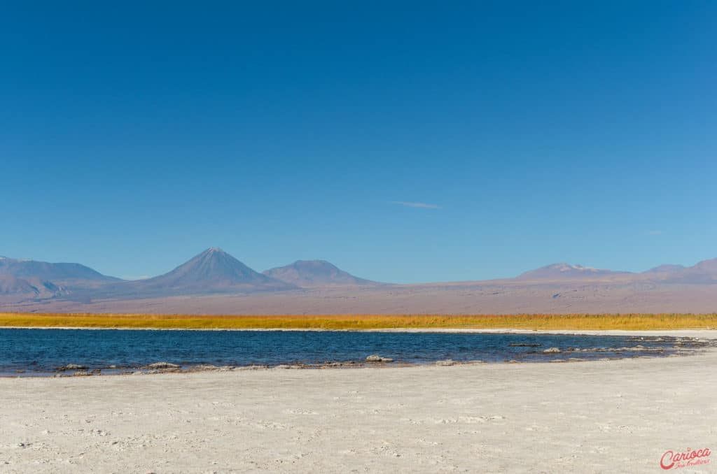 Laguna Cejar