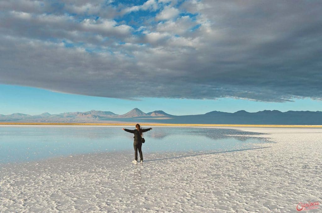 Laguna Tebinquinche Atacama