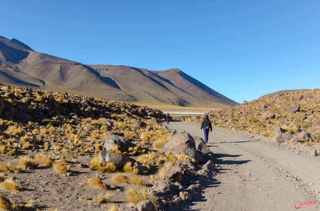 Caminho entre a Laguna Miscante e a Laguna Miñiques