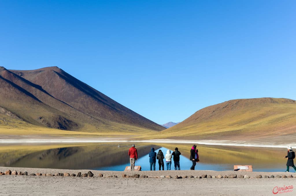 Laguna Miñiques, nas Lagunas Altiplanicas