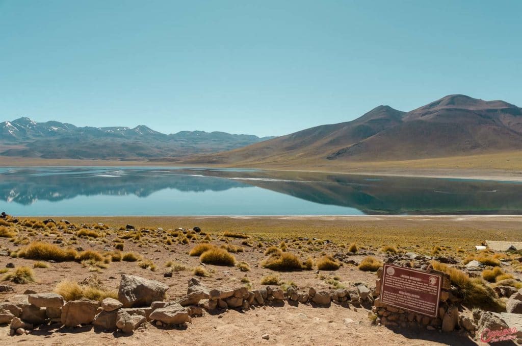 Laguna Miscanti no Deserto do Atacama