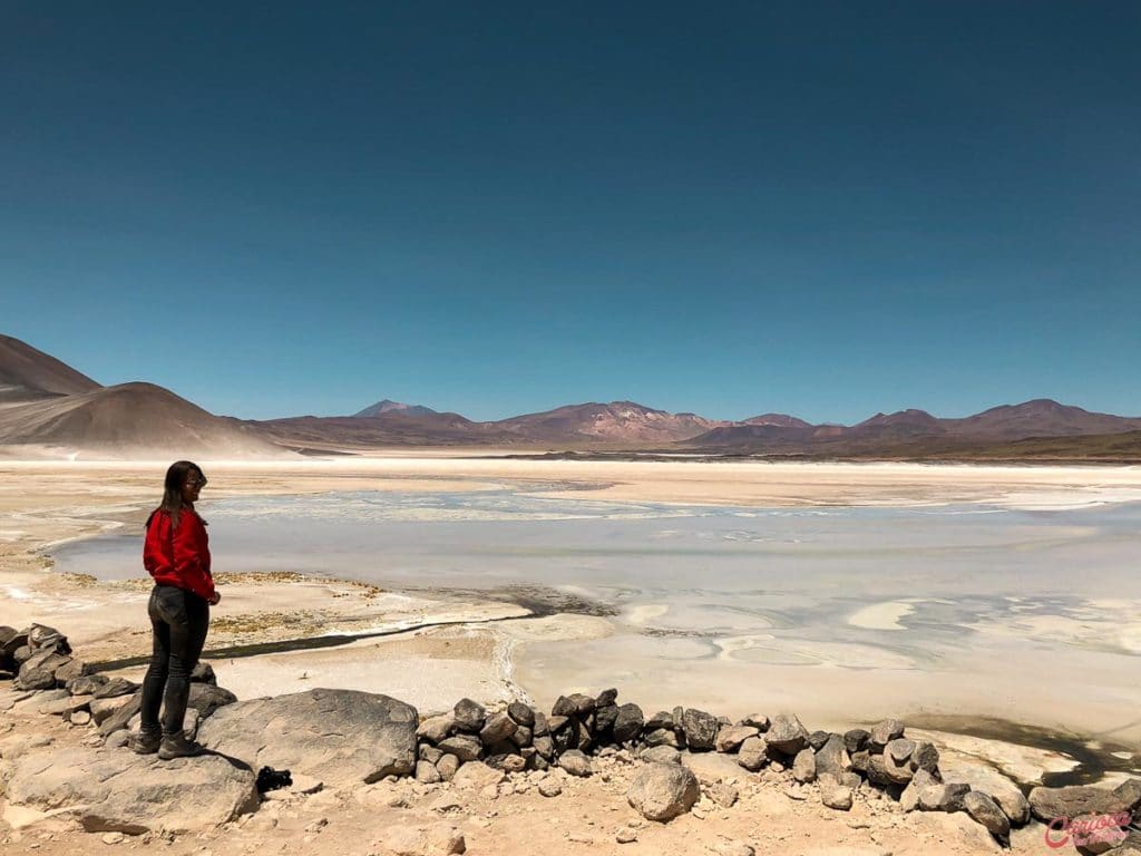 Mirante para Piedras Rojas e Salar de Águas Calientes