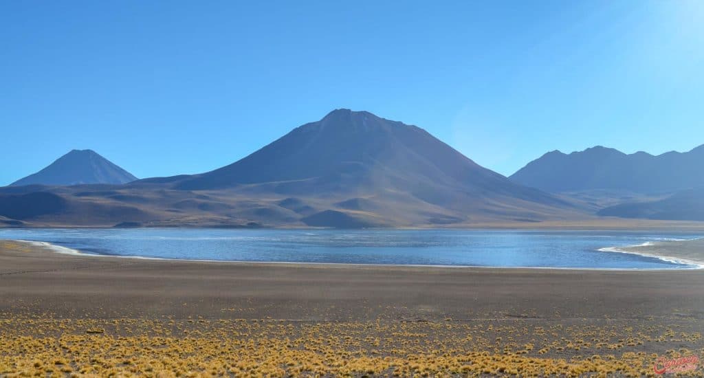 Deserto do Atacama Lagunas Altiplânicas Chile