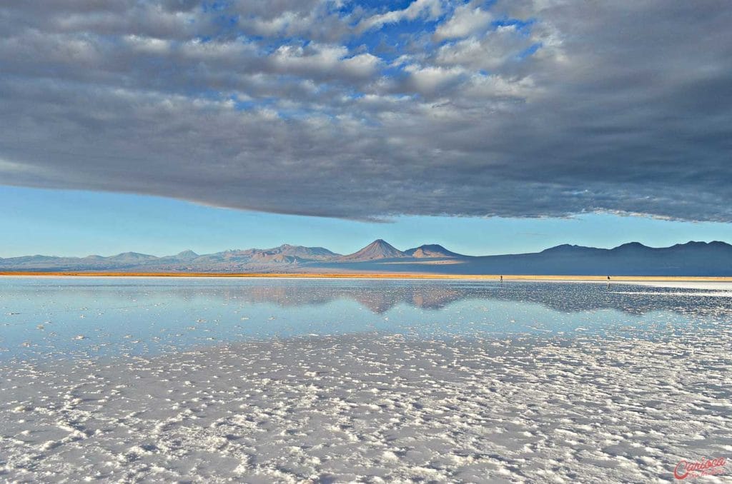 Laguna Tebinquinche Atacama