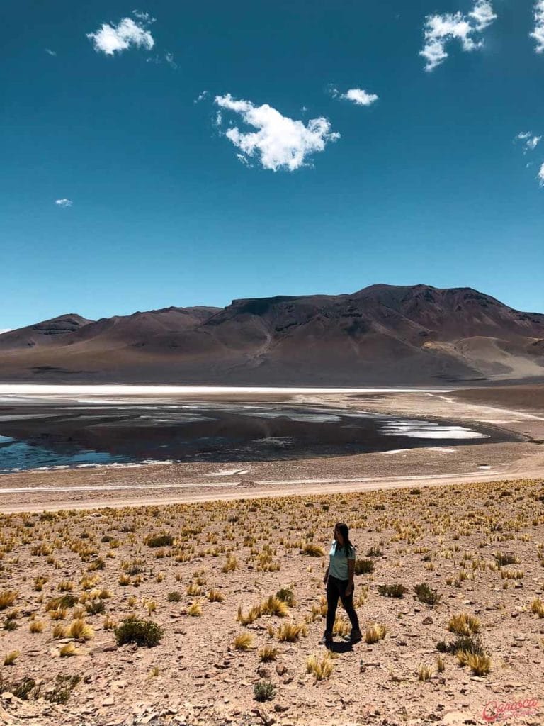 Laguna de Tara no Salar de Tara no Atacama