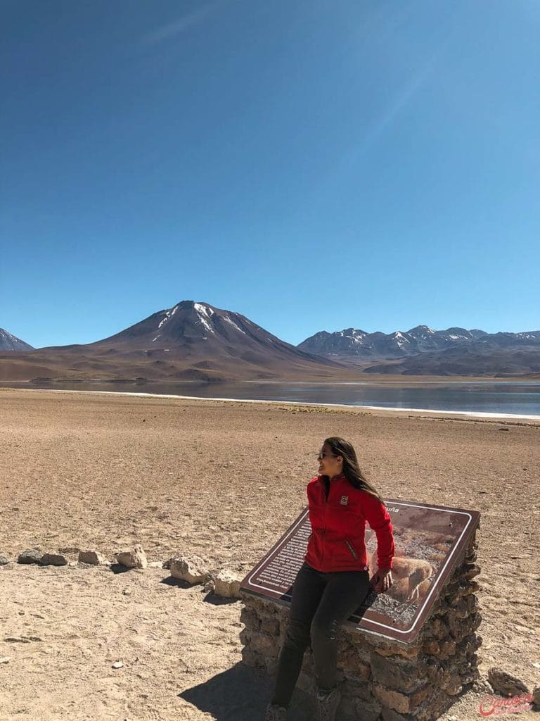 Lagunas Altiplanicas Atacama no Chile
