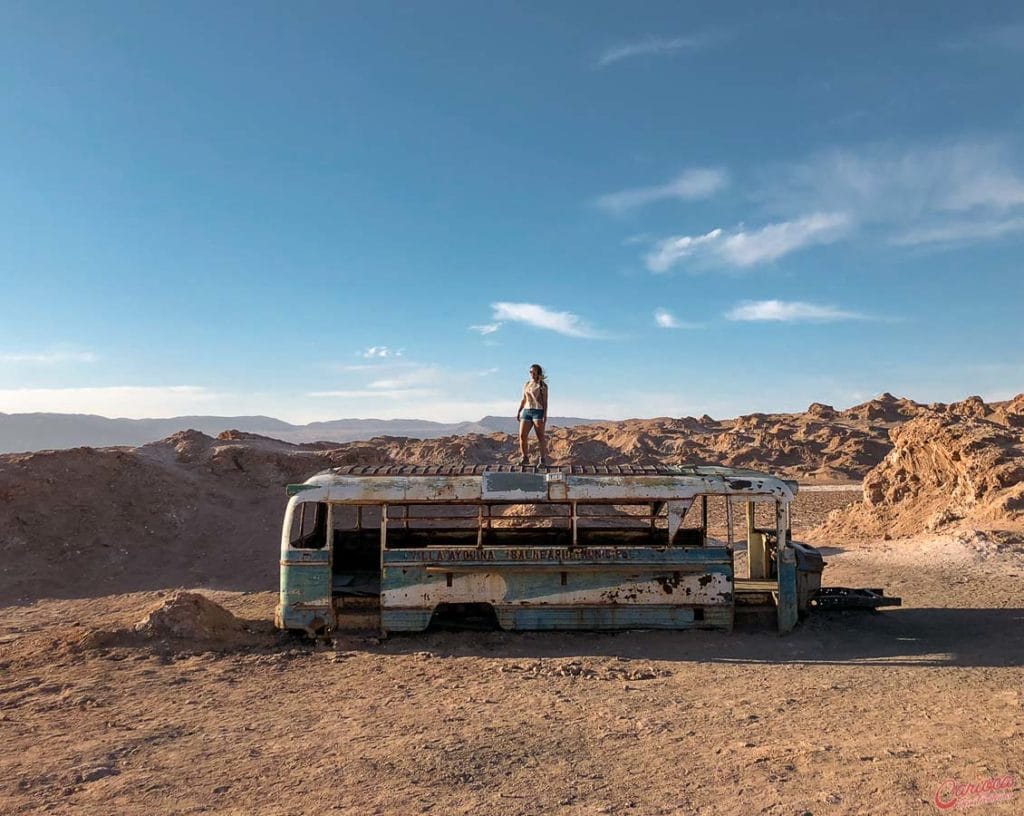 Magic Bus Atacama
