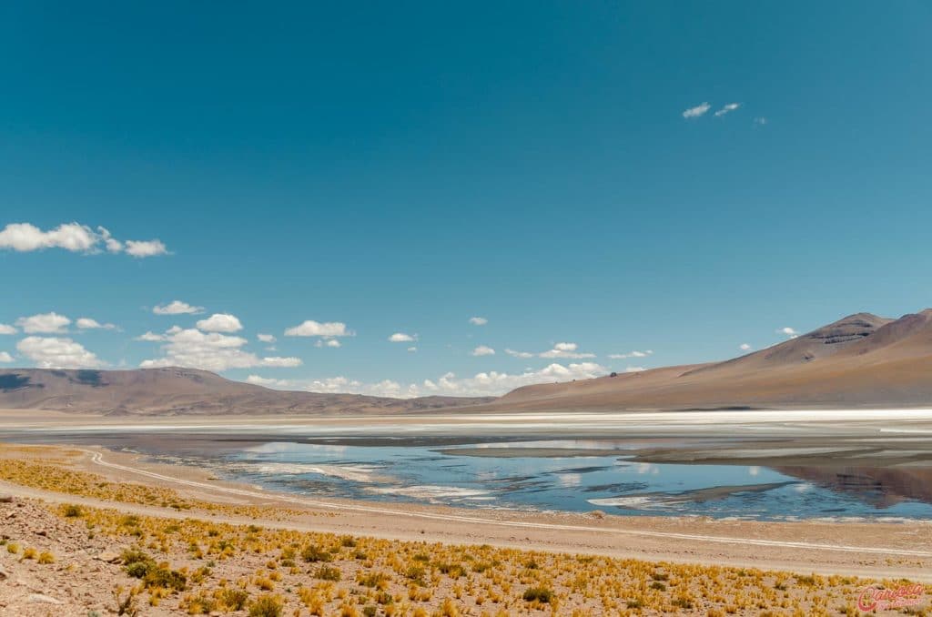 Laguna de Tara no Salar de Tara no Atacama