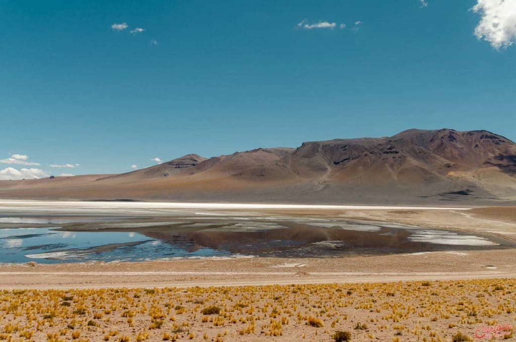 Laguna de Tara no Salar de Tara no Atacama