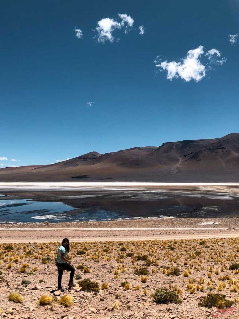 Salar de Tara no Deserto do Atacama
