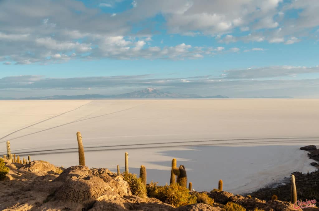 Vista para o Salar de Uyuni da Isla Incahuasi