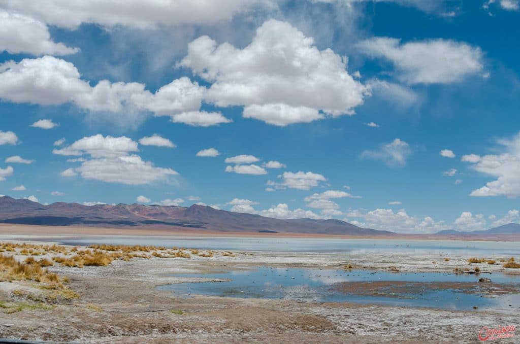 Laguna Salada no Salar de Chalviri