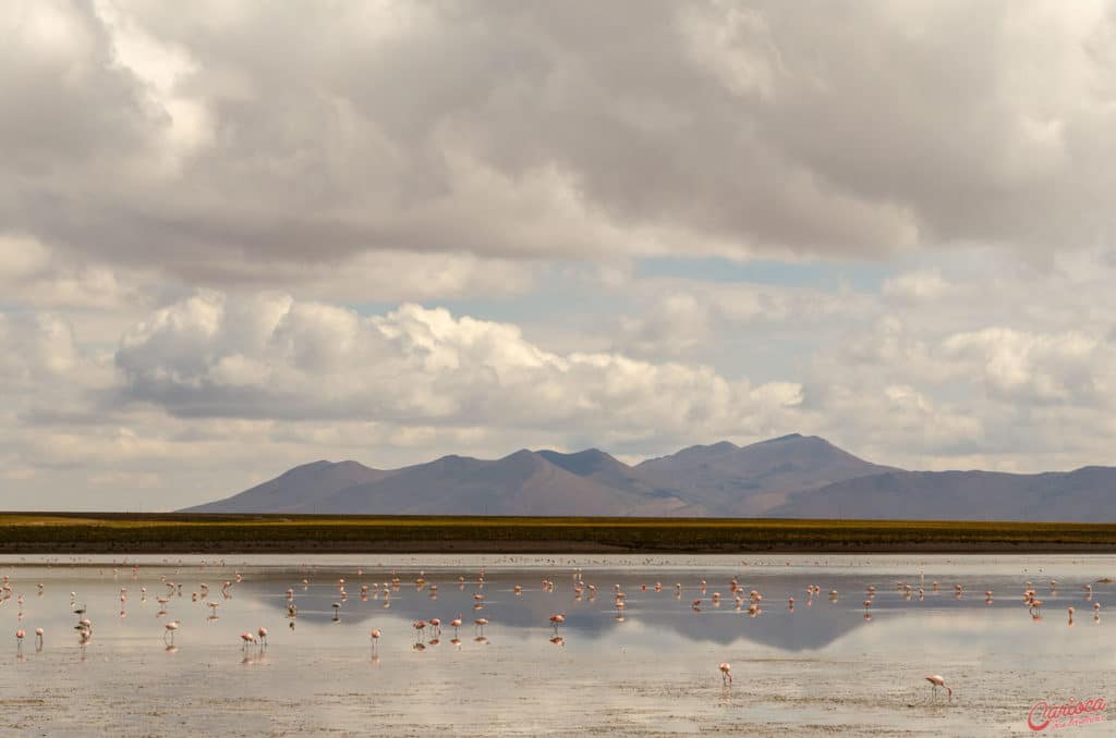 Laguna Vinto na Bolivia