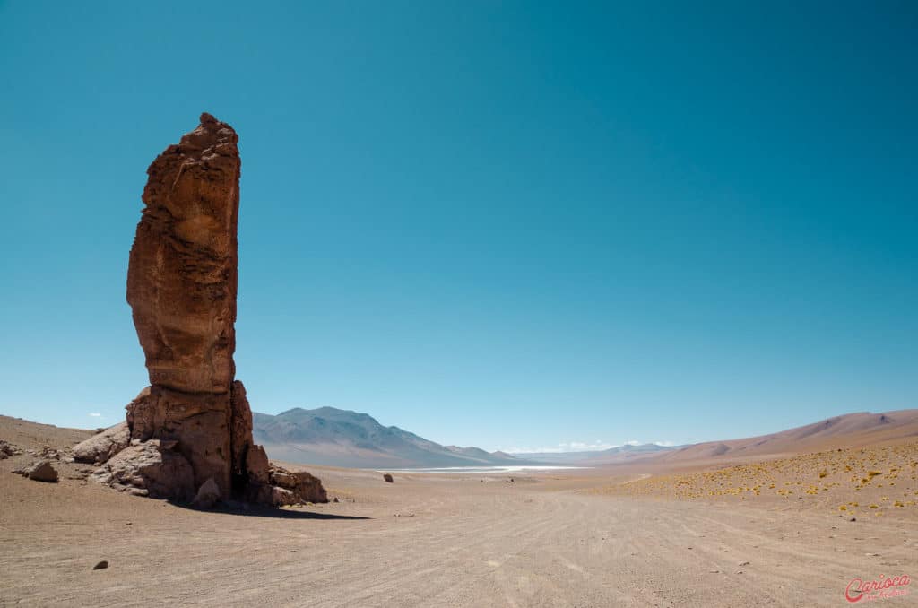 Mojes de la Pacana no Salar de Tara no Atacama