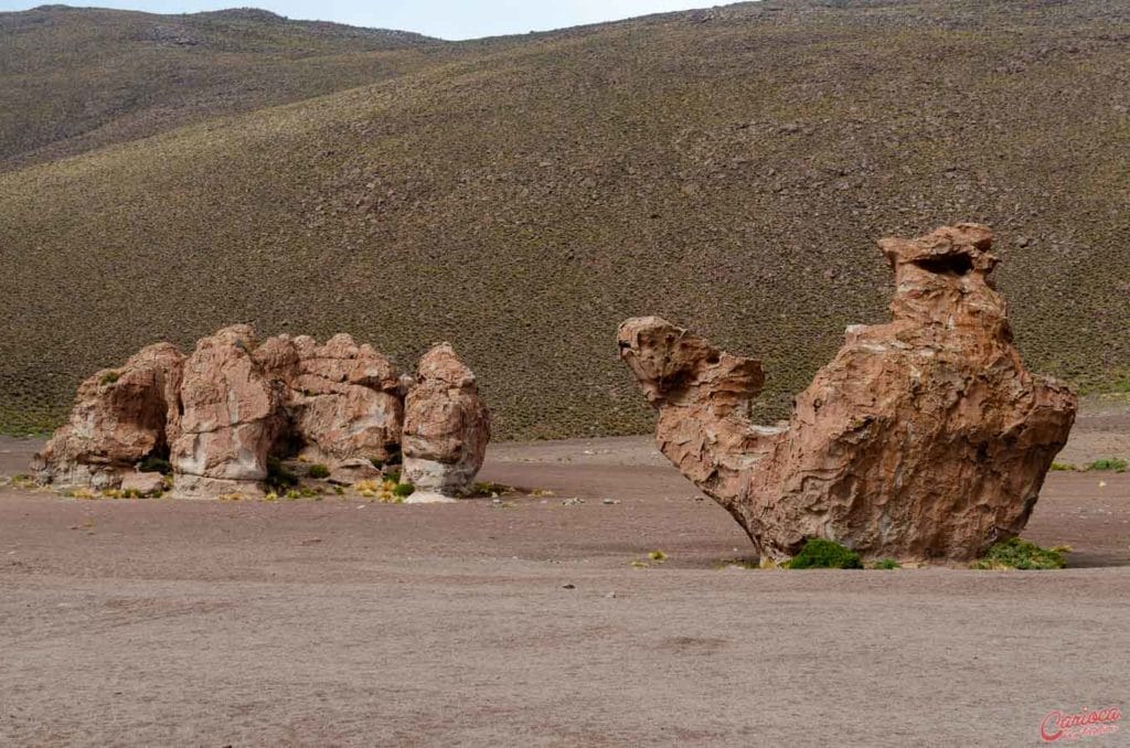 Pedra do Camelo na Travessia do Salar de Uyuni