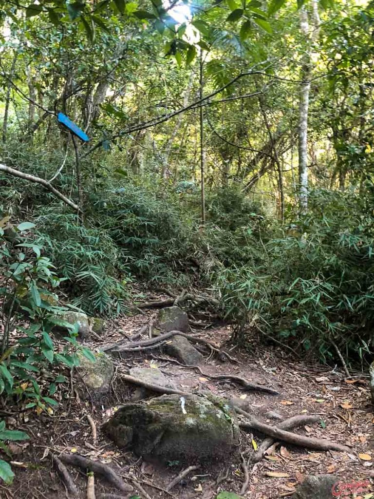 Trilha para a Cachoeira da Praia da Solidão