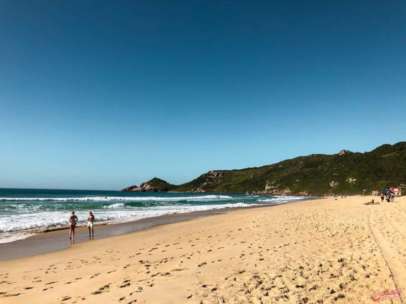 Praia Mole, praia de Florianópolis com ondas perfeitas