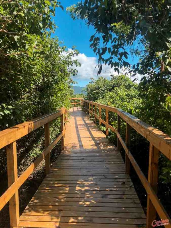 Passarela da Praia da Daniela em Florianópolis