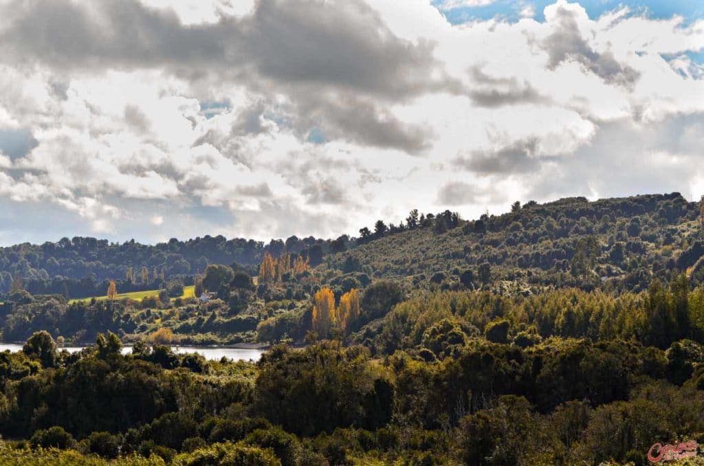 Vista para o Lago Llanquihue