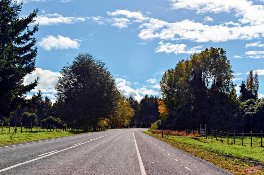 Muito verde ao longo do roteiro de volta ao Lago Llanquihue