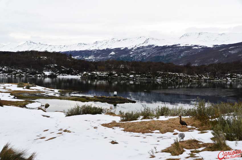 Vista do Parque Nacional Tierra del Fuego para a Bahia Lapataia