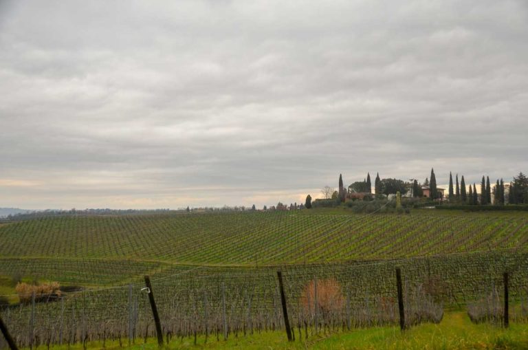 Vinicola Familiar Toscana