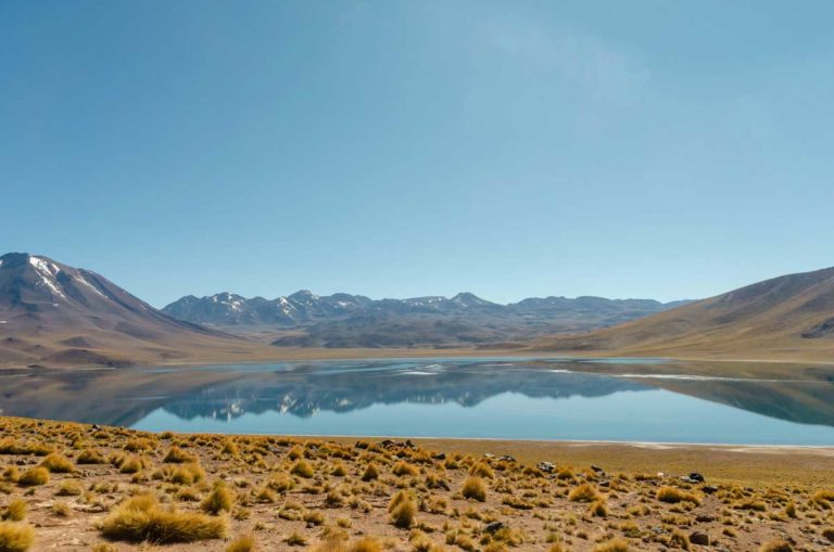 Lagunas Altiplanicas no Deserto do Atacama