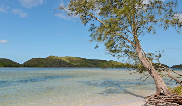 Ilha do Japonês em Cabo Frio