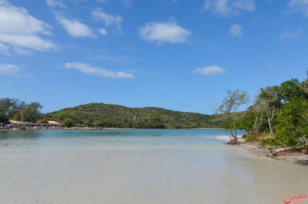 Ilha do Japonês