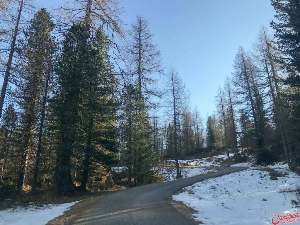 Estrada para o Rifugio 5 Torri