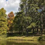 Horto Florestal de Campos do Jordão