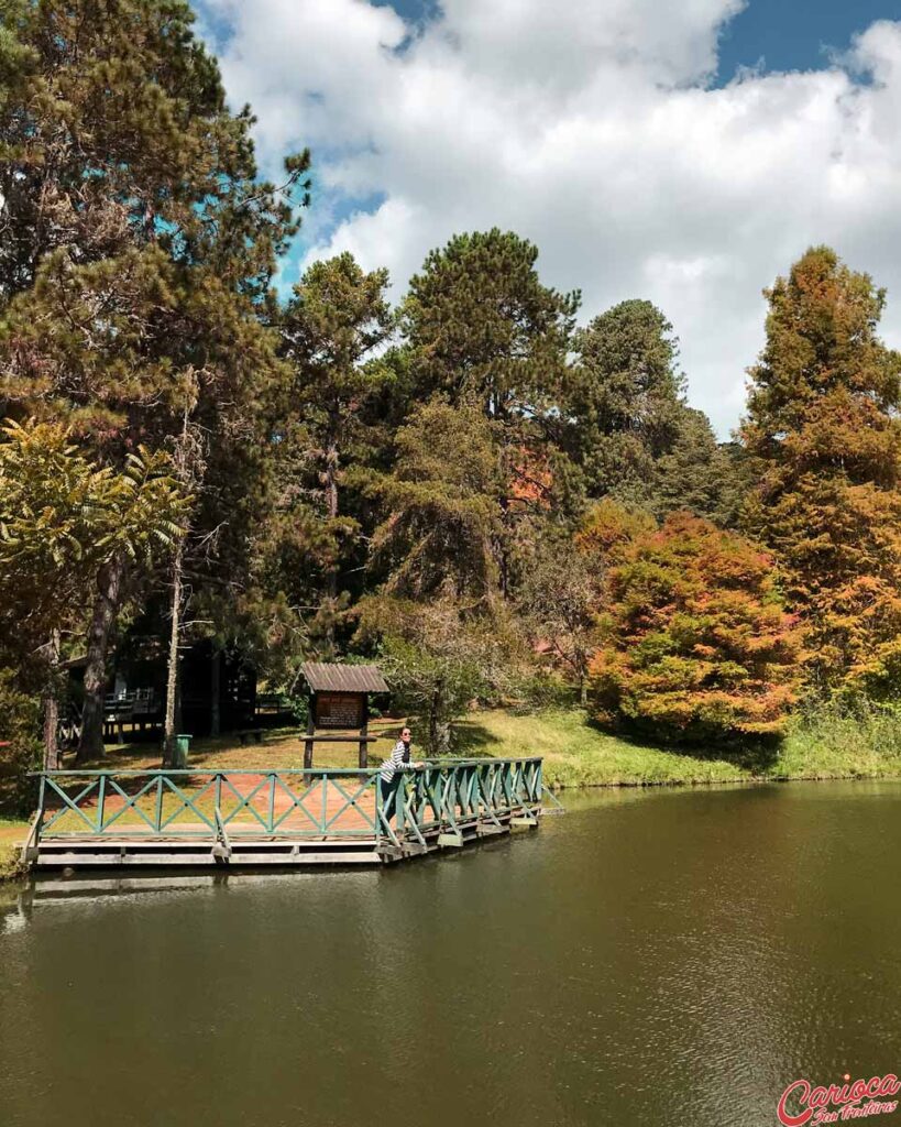 Horto Florestal de Campos do Jordão