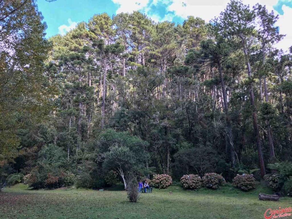 Parque Estadual Campos do Jordão